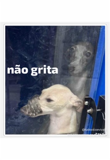 💁🏽🇪🇸🇧🇷#madrid #españa🇪🇸 #brasil🇧🇷