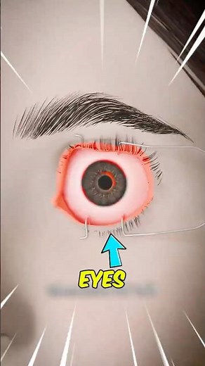 What Happens to Your Eyes When You Stop Blinking?