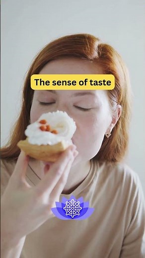 Your Six Senses