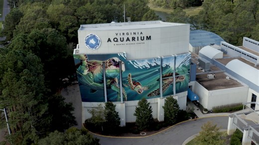 Virginia Aquarium major exhibits in need of urgent upgrades, assessment shows