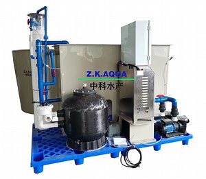 [Hot Item] Small Scale Recirculating Aquaculture Farm Indoor Farming Ras Live Fish Storage Equipment