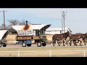 Donkey’s Pulling a Wagon on Highway 287 Decatur Tx Catfish O Harlies Restaurant