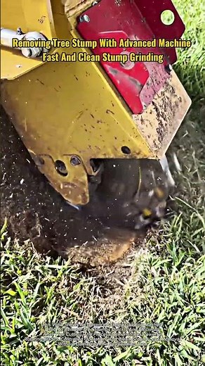Removing Tree Stump with Advanced Machine | Fast and Clean Stump Grinding