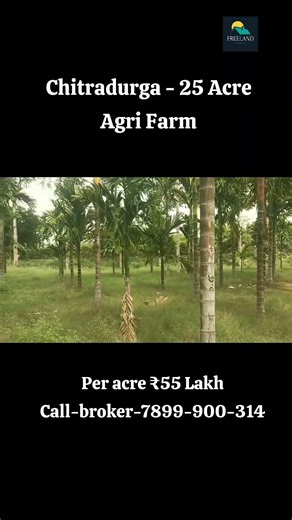 25 Acre Agri Farm For Sale Hiriyur | Chitradurga | Karnataka arecanut Coconutfarm Sandalwood