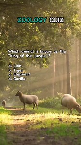 Zoology Quiz | Discover the Wonders of Wildlife: Test your Zoology know-how with our fascinating quiz! 🐾🦁 | #zoology #animals #animalworld #wildlife #education #study #school #learningisfun #quiz #quizchallenge #fyp #reels #fbreels #reelsfb #quizbee | Quiz Buddy