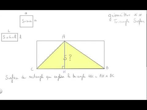 Les maths, c'est facile et amusant : Triangle et Surface