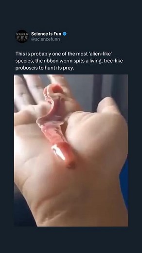 Science Is Fun on TikTok