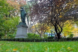 Allergy Forecast: NYC Is Being Hit By High Rates Of Tree Pollen