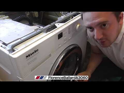 Millie's First Carbon Brush Replacement in 12.5 Years