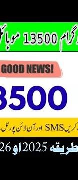 How to Check Benazir Income support program 10500||How To Check Benazir income support program Money