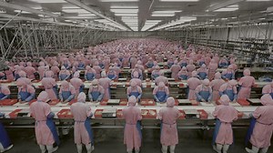 The New Playbook | The Invisible Shield