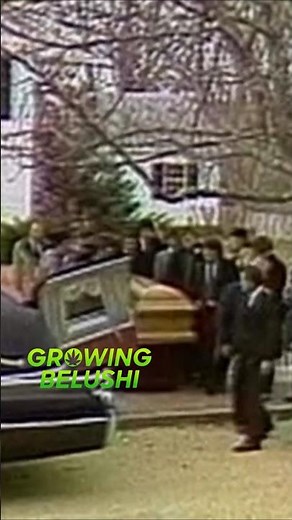 💙 John Belushi's Funeral #johnbelushi #danaykroyd #billmurray #bluesbrothers #snl