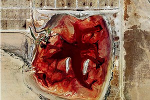 These aerial shots of factory farming look like bloody zombie wounds