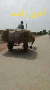 last destination (New release)