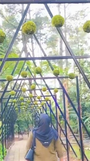 ORCHID FOREST CIKOLE - LEMBANG #lembang #bandunghits #orchidforestcikole
