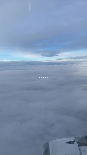 7177275888394898714