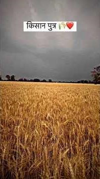 Teri mitti mil Java gul ban ke kil Java #trending #emotional #edit #famousduo #shortvideo #newreel