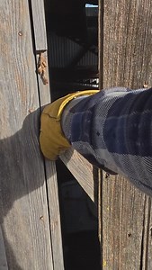 I found some cool stuff in this abandoned shed! #barnfind #abandoned #farm #treasure #forgotten | Adventures Made From Scratch