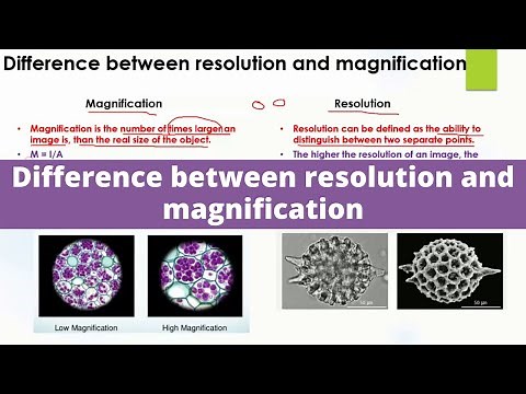 Difference between resolution and magnification | Microscopy | A-level Biology