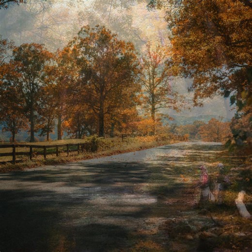 There are so many ways to experience fall 🍂 in the North Georgia Mountains. Here are some unusual experiences that make it all the more special in Georgia’s Blue Ridge! | Visit Blue Ridge GA