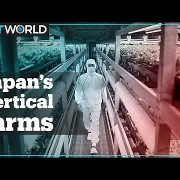 Future of Japanese farming goes indoor and vertical