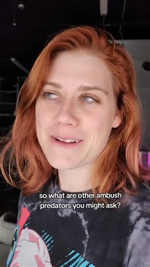 Megs Mashables on Instagram: "Shoookieeeessss. Just a blue bitey boi 🥹 🦈 🍪 . Over a year ago I came across a meme that inspired this series. Then the Sesame Street Mashables pack happened 🫣 Were you around when I made these? And if so, which one was your favorite? . . #megsmashables #mashables #mashable #puns #animals"