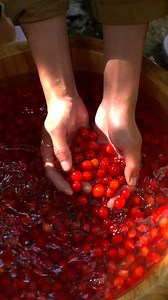 6.5K views · 126 reactions | Cherry wine across cultures | History, methods, and legends #cherrywine #winetime #cherry #wine #brewing | Videoslia | Facebook