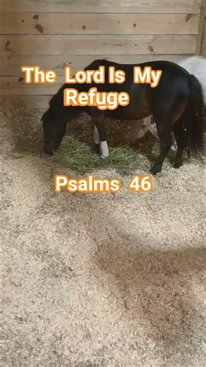 God is my refuge# strength and humility podcast