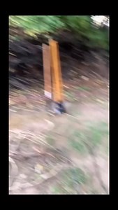 6.3K views · 2K reactions | What the hell is that? Something nestled...