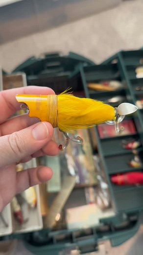 388 reactions · 18 comments | Would you go fishing with an 80 year old topwater bird lure? The Weezel Sparrow is definitely an intesteri g fishing lure! • Click the link in my bio to checkout my YouTube channel and the fishing gear that I use! • • • #fishing #bassfishing #fishinglures #fishinglure #fishingaddict #antique | Wesley Cox | Facebook