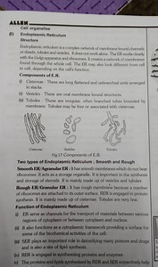 Two types of Endoplasmic Reticulum ; Smooth and Rough Smooth ER... | Filo