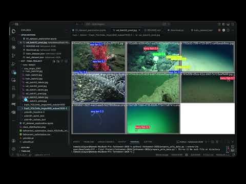 Marine Life Detection Using YOLOv8 | Applied Computer Vision Project