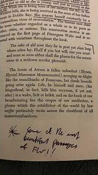 Finnegans Wake is a beautiful book! | reading some poetic passages #jamesjoyce #finneganswake