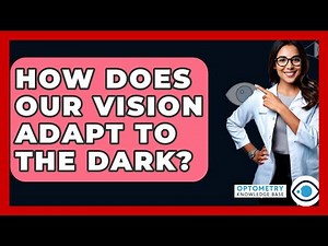 How Does Our Vision Adapt To The Dark? - Optometry Knowledge Base