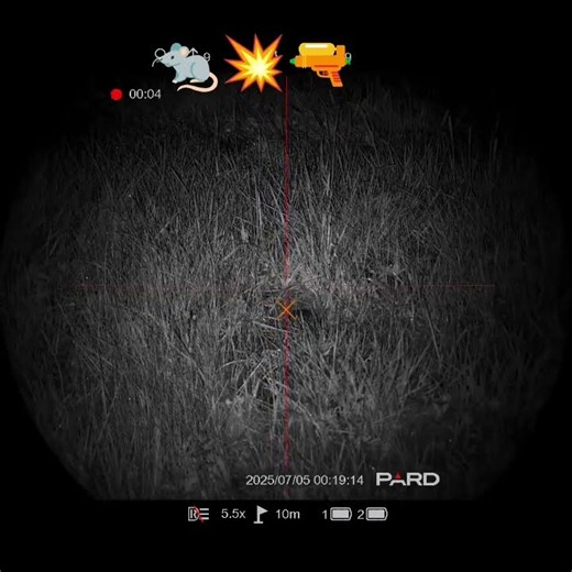 pest control 🐀💥🔫 Pard Night Stalker 4k eX #pestcontrol #pest #rats #pard #nightvision #ttl #Tac​+