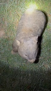 152K views · 8.6K reactions | Sound on.. I took this on the first...