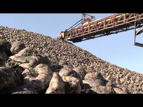 Special Episode: Sugar Beet Harvest - America's Heartland