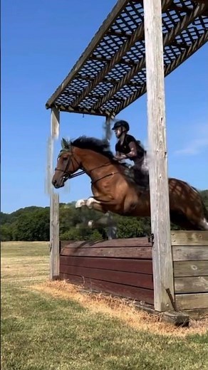 Xccc #crosscountry #eventing