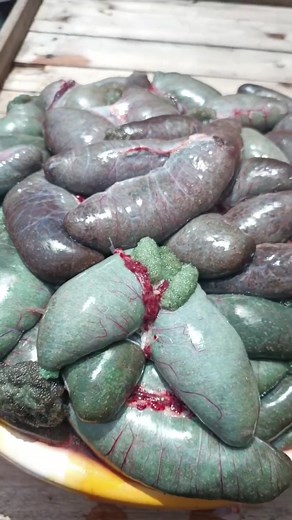 #fisherman #pondconstruction #fishfarming #fish #fishing #farmlife #farming #agriculture #fypシ #celebrity #farmhouse #fingerlings