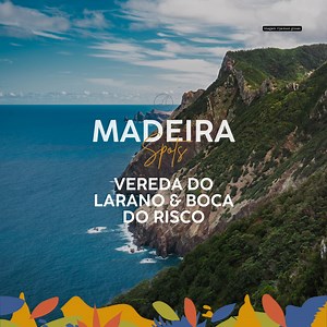 Vereda do Larano – Boca do Risco Viva esta experiência connosco! https://intertours.com.pt/tour-item/madeira-vereda-do-larano-boca-do-risco/ | Intertours Madeira | Facebook