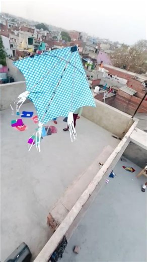 kite looting 🪁✅ #trandingshorts #youtubeshorts #kite #kites #kiteflying #patang #shorts