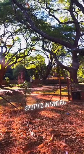 Zimbabwean Witchcraft and Voodoo in Broad Daylight