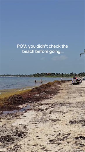 Never going to the beach again without checking this beach app called beachday 🔥😂🌴 #beach #beachday #beachvibes #beaches #Travel