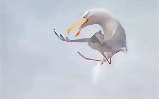 团队的力量(蚂蚁 企鹅 螃蟹)1920x1080