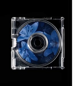 Top Speed Songs: Nightcore Lyrics Compilation