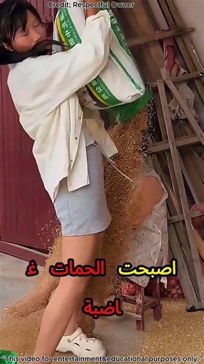 UAE&Dubai&Saudia 😱💎 الصدمة الكبرى! Mother-in-law Gets Covered In Grains During Luxury Prank!