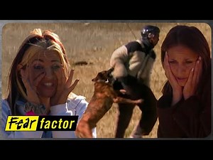 Attack Dog! | Fear Factor