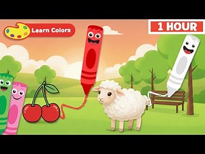Baby Easy Learning : Colors | Educational Content | First University