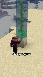 158K views · 1.2K reactions | Kelp can find secret bases #minecraft #minecraftmemes #minecraftbuilds #minecraftpe #minecraftmods | SeaWattgaming | Facebook