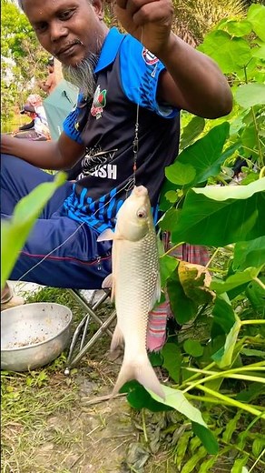A beauty of village fishing moment 🎣